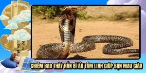 Chiêm bao thấy rắn bí ẩn tâm linh giúp bạn mau giàu